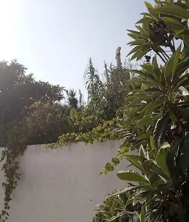 Appartement Av Cristo Rei 61 Arialva