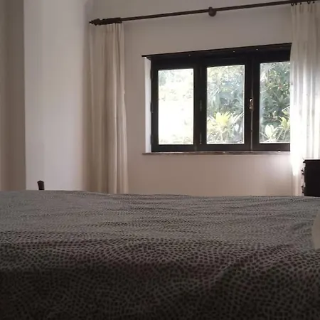 Appartement Av Cristo Rei 61